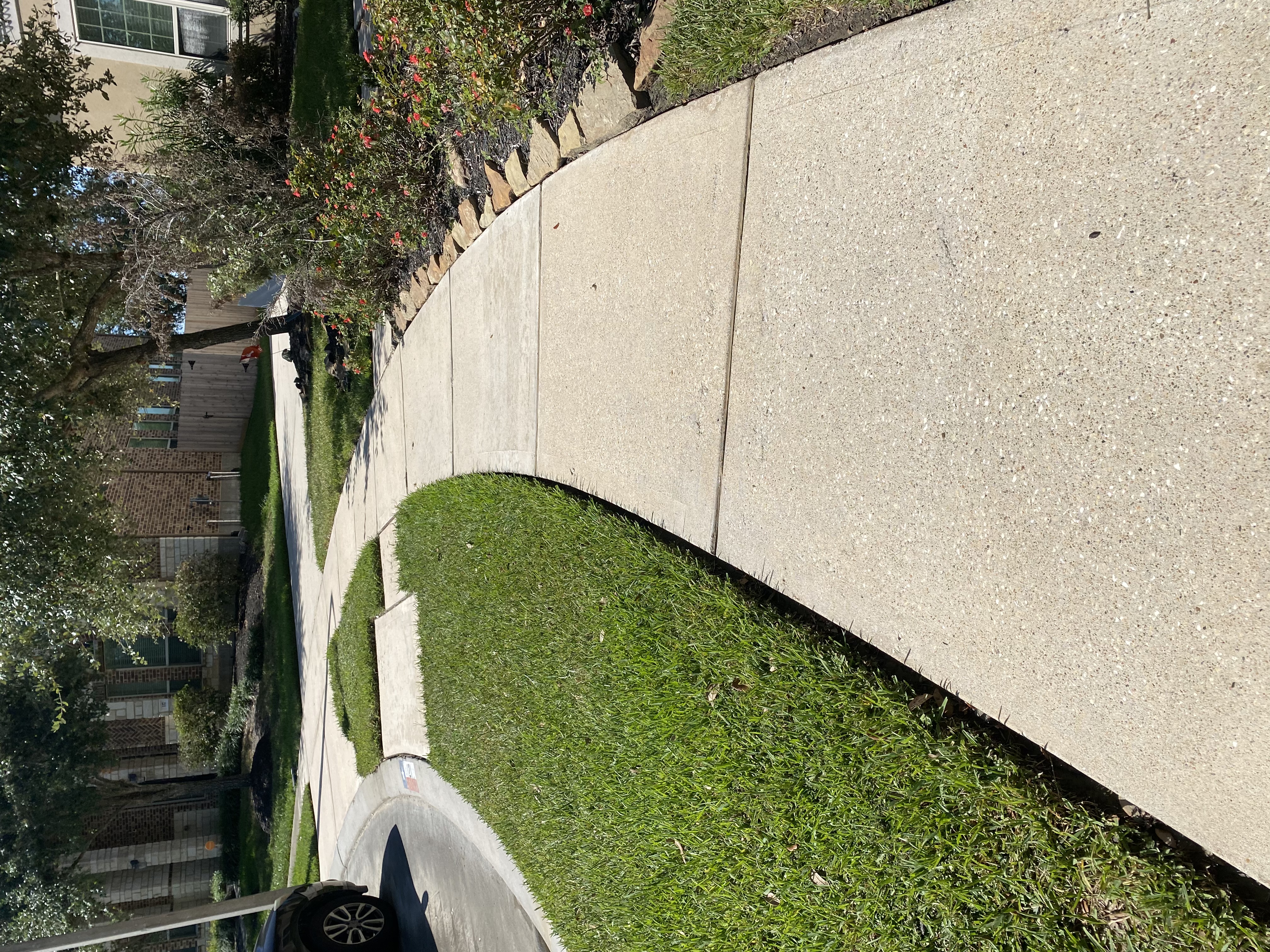 Clean driveway after