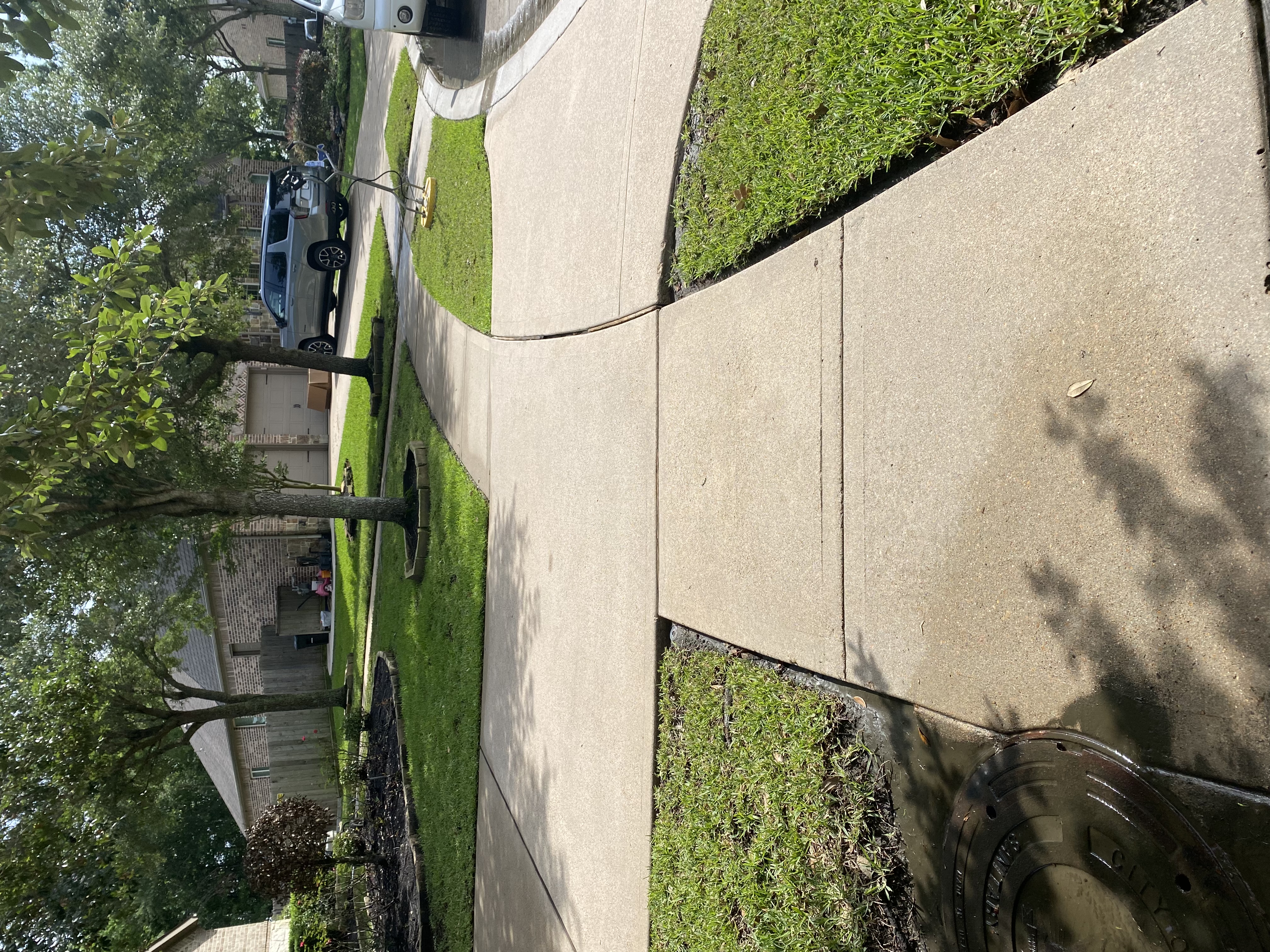 Clean wooded driveway after